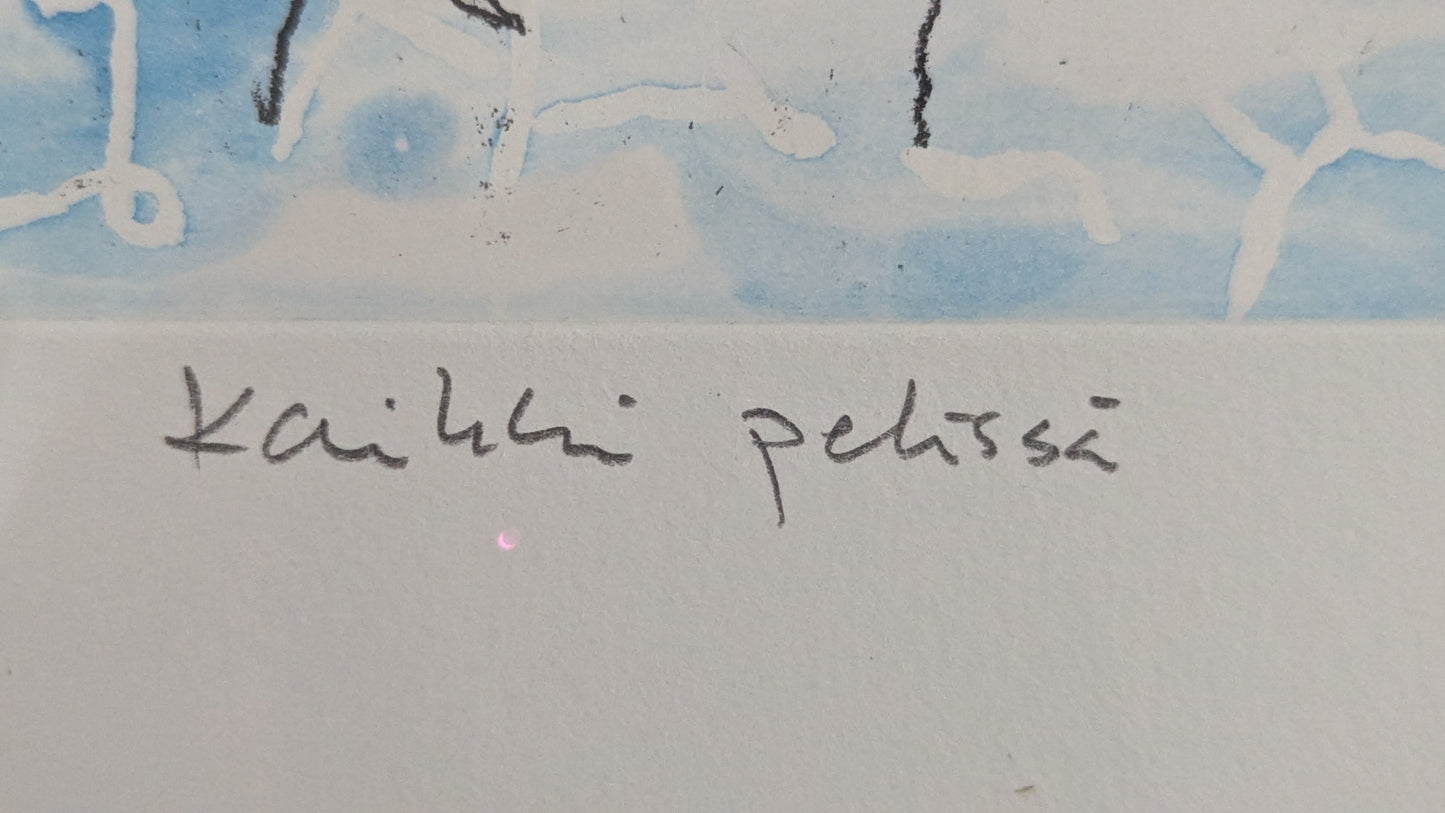 Teemu Saukkonen - Kaikki Pelissä (Signeerattu Grafiikka 2007)