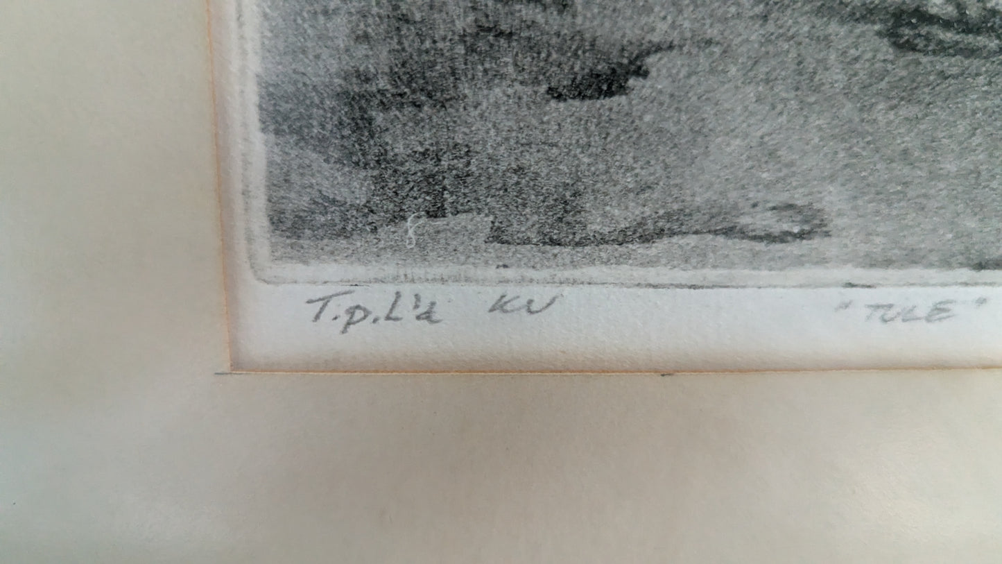 Tapio Rintala - Tule (Signeerattu Grafiikka 1975, Koevedos)