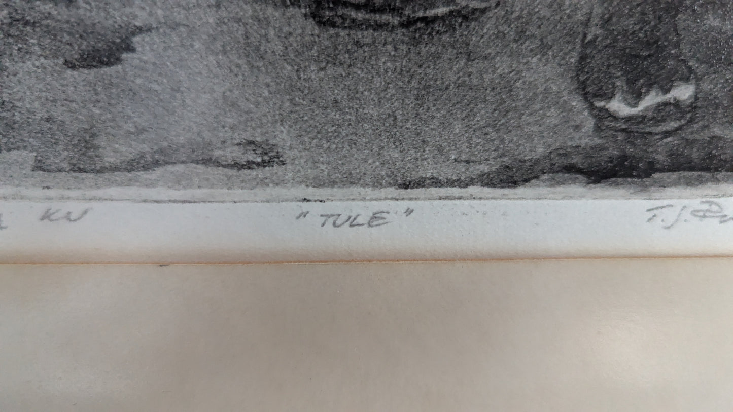 Tapio Rintala - Tule (Signeerattu Grafiikka 1975, Koevedos)