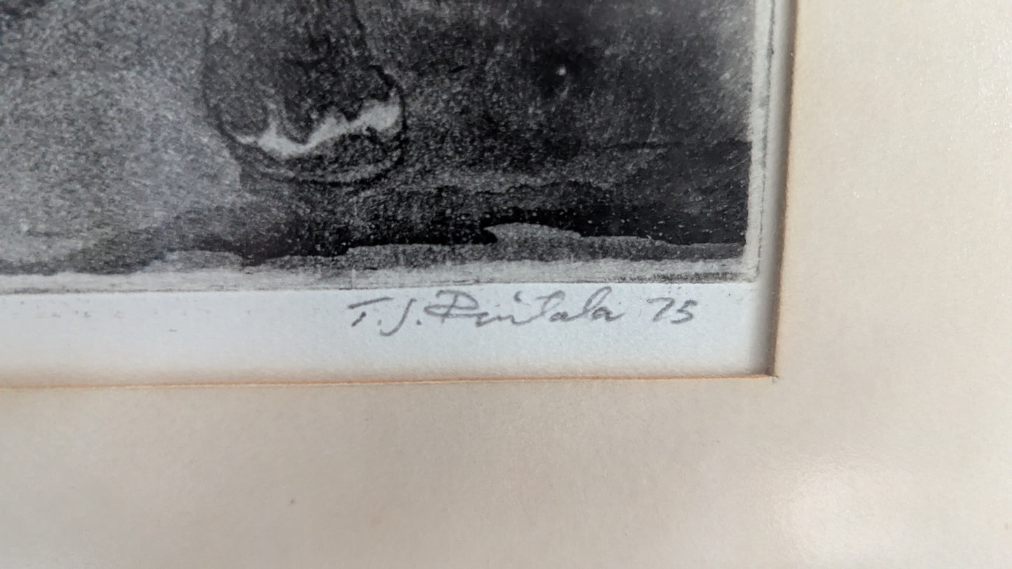 Tapio Rintala - Tule (Signeerattu Grafiikka 1975, Koevedos)