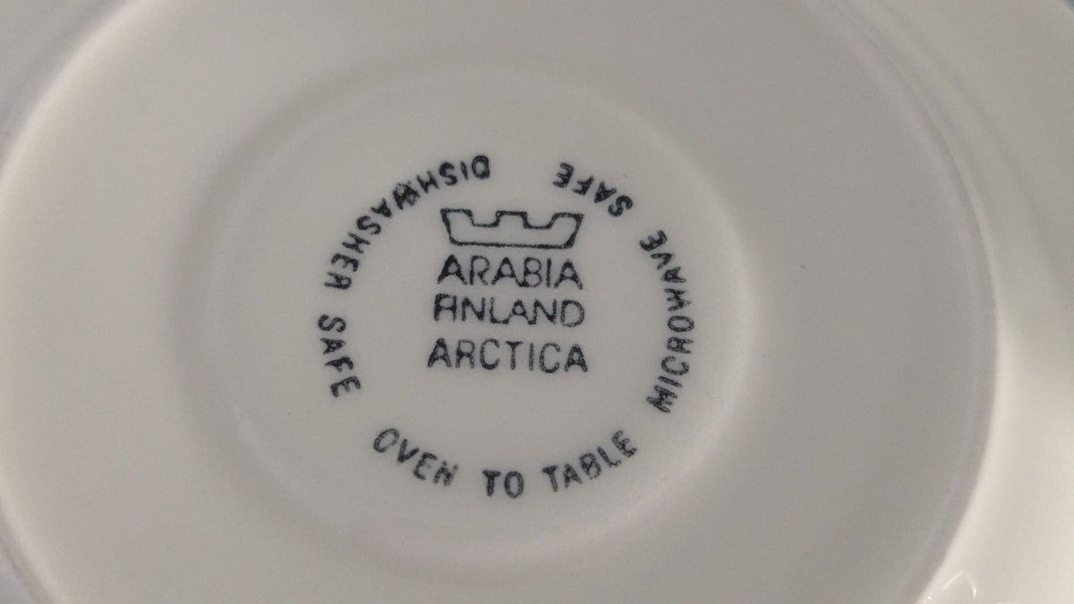 Arabia Arctica Kahviastiasto 12 Hengelle (24-osainen, Inkeri Leivo)