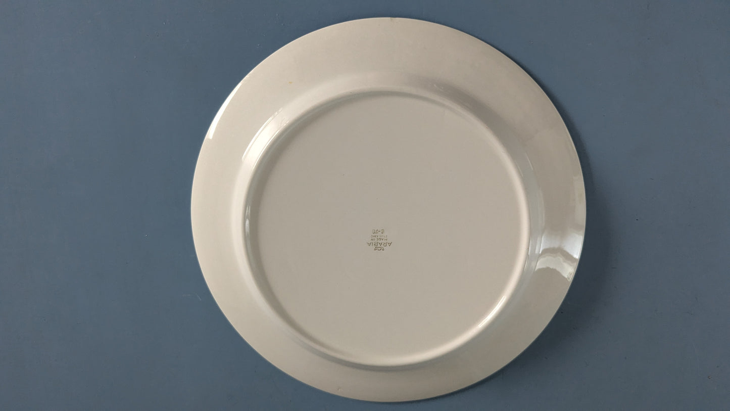 Arabia E-Mallin Keittolautanen (1968-1971, Halkaisija: 25.8cm)