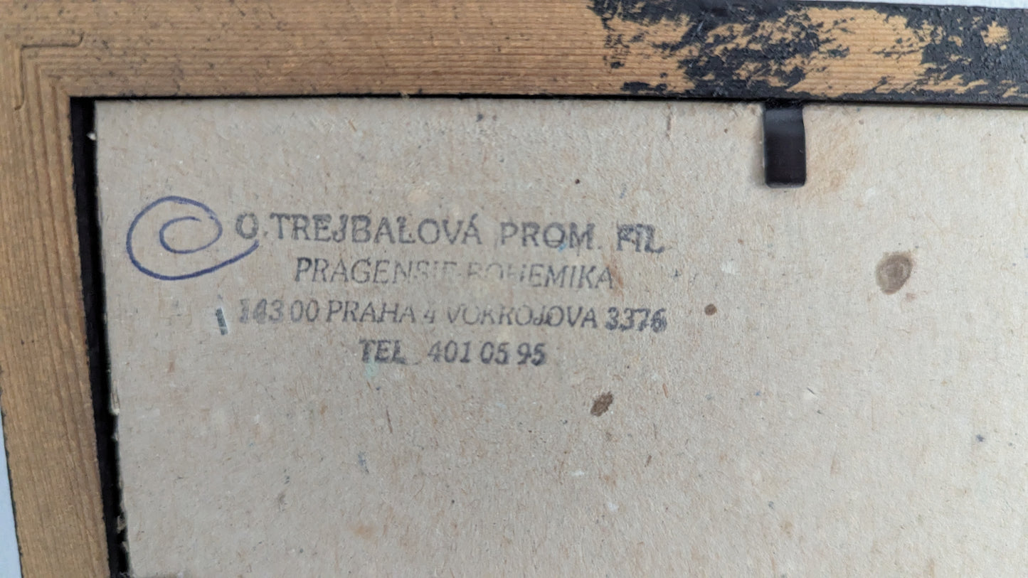 Signeerattu Grafiikka (42cm x 32cm)