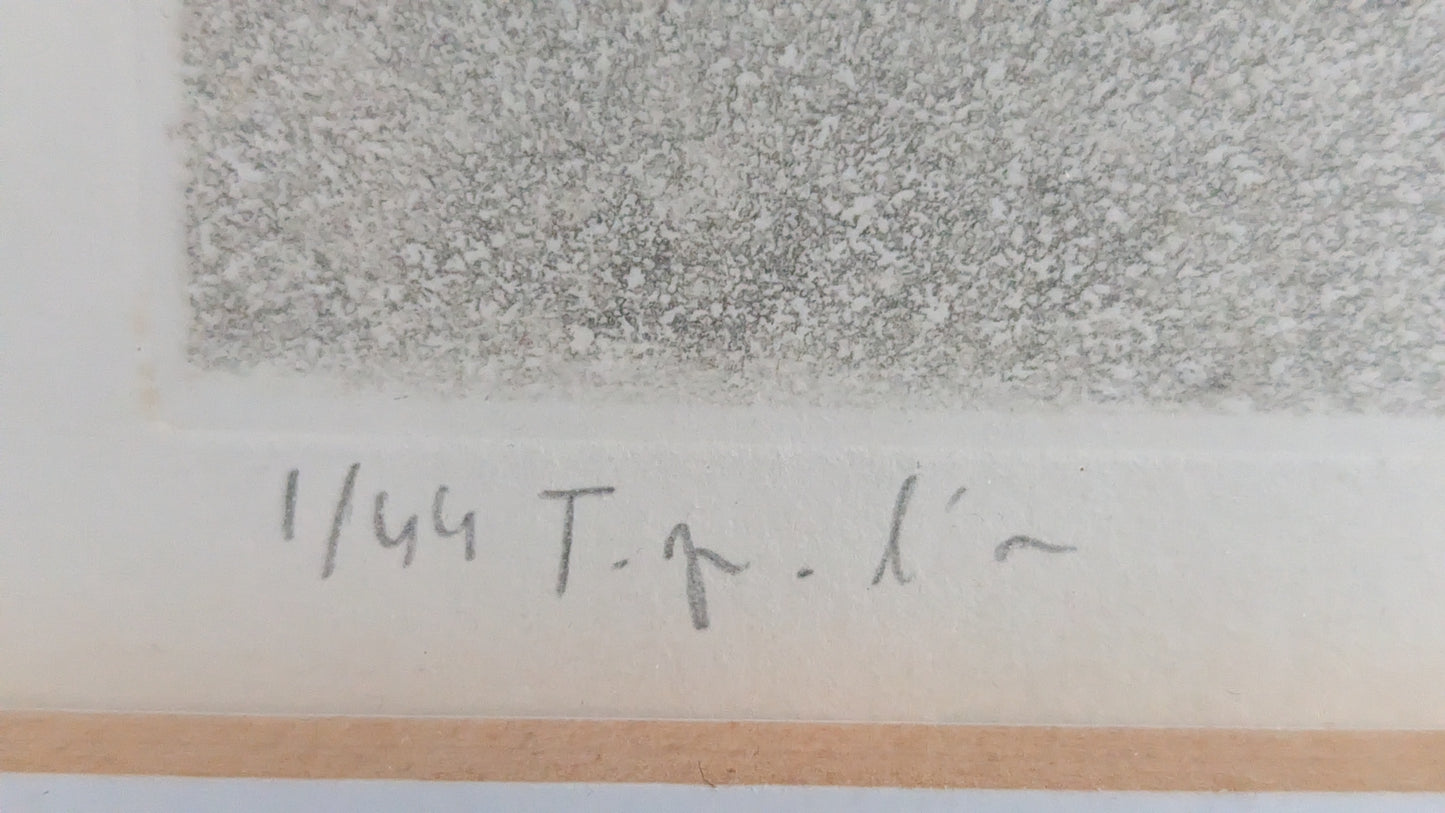 Pekka Juntunen - Signeerattu Grafiikka (1987)