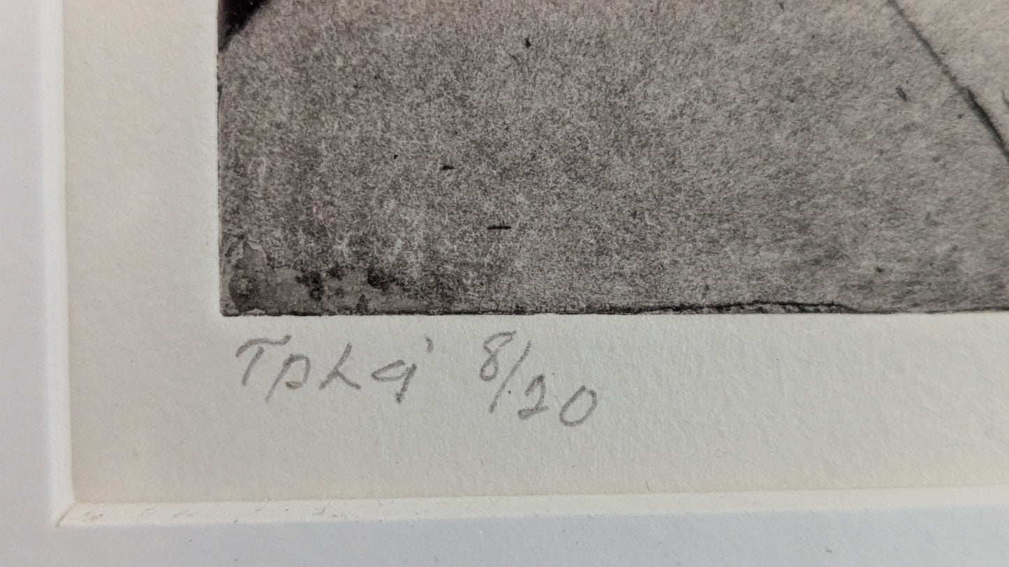Signeerattu ja Numeroitu Grafiikka (8/10, 2006)