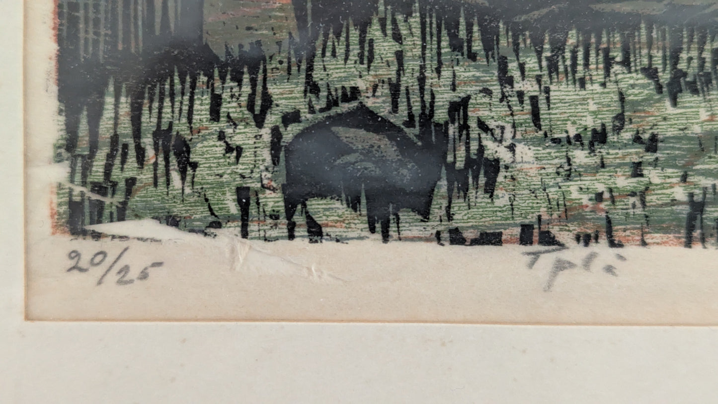 Tapio Haili - Signeerattu Väripuupiirros (1960)