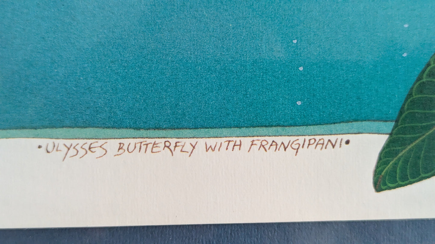 Jo Anne Hook - Ulysses Butterfly with Frangipani (Signeerattu Grafiikka)