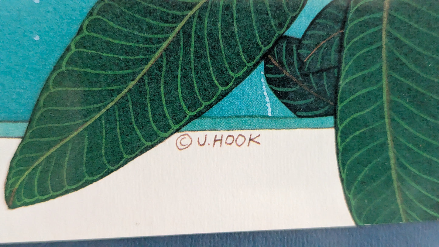 Jo Anne Hook - Ulysses Butterfly with Frangipani (Signeerattu Grafiikka)