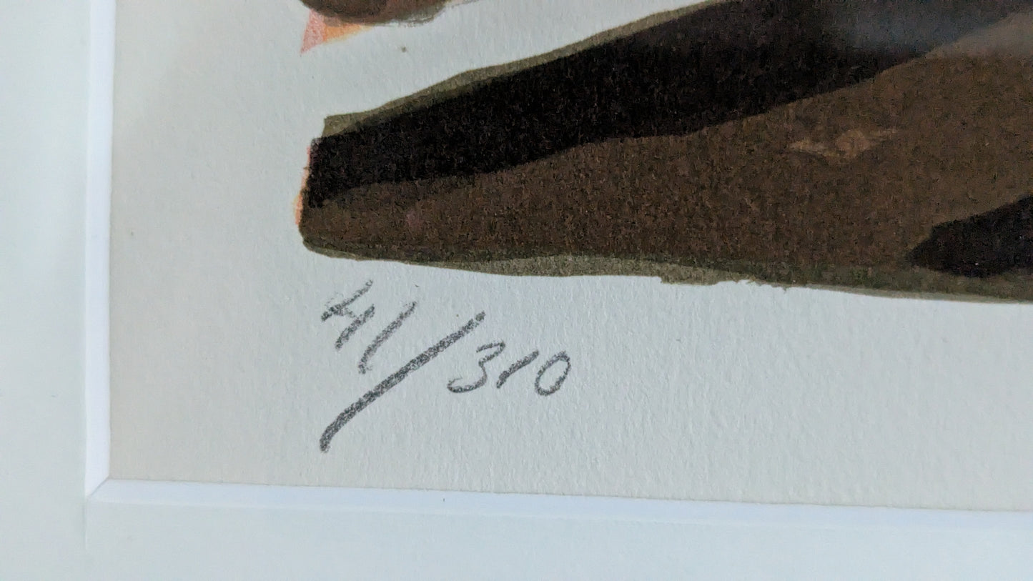 Lars Norrman - Signeerattu Litografia (41/310)