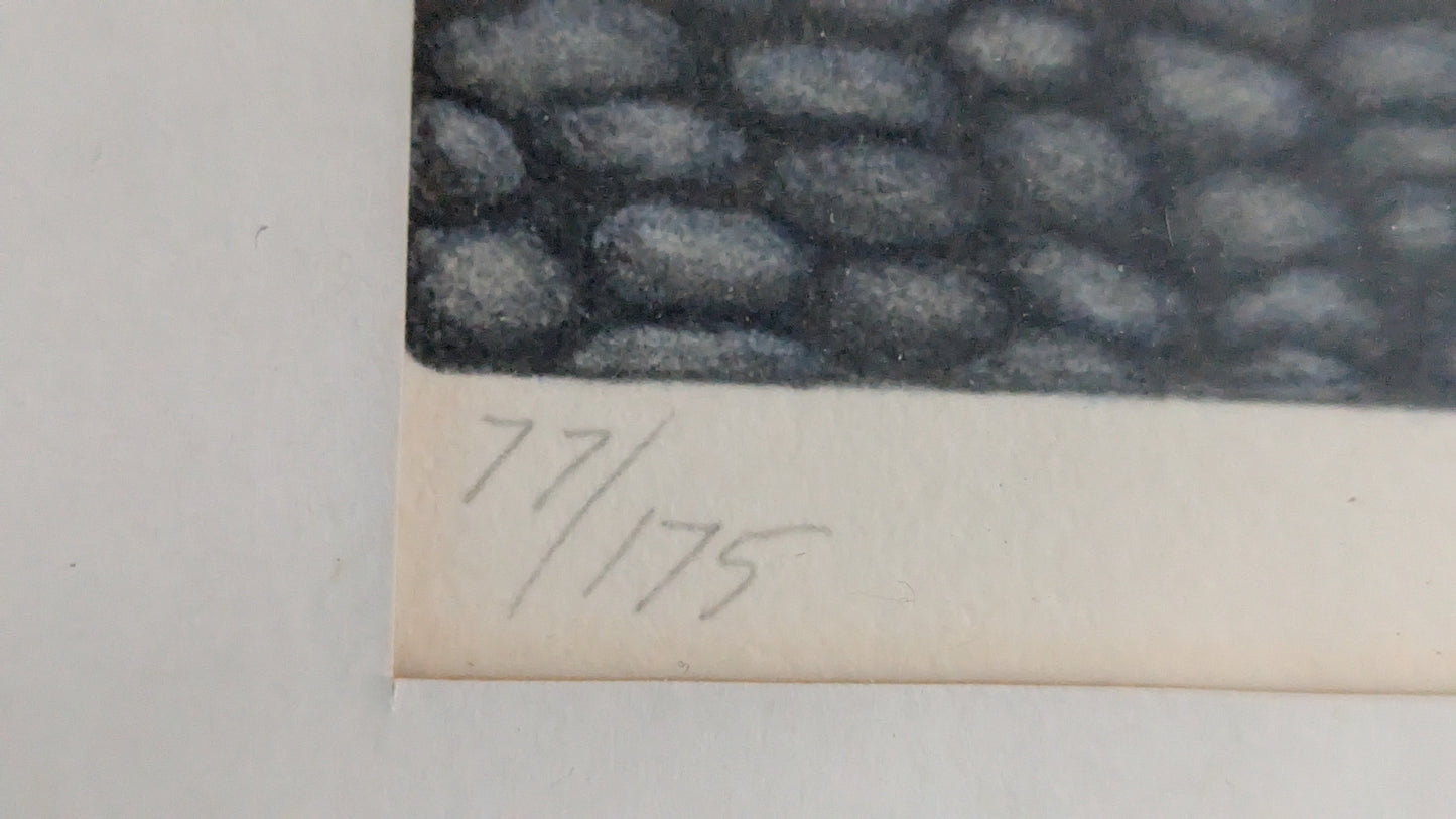 Peter Borotinskij - Signeerattu Grafiikka (Numeroitu 77/175)