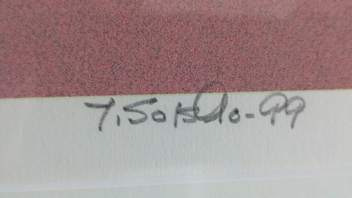 Juha Soisalo - Signeerattu ja Numeroitu 77/100 Grafiikka (1999)