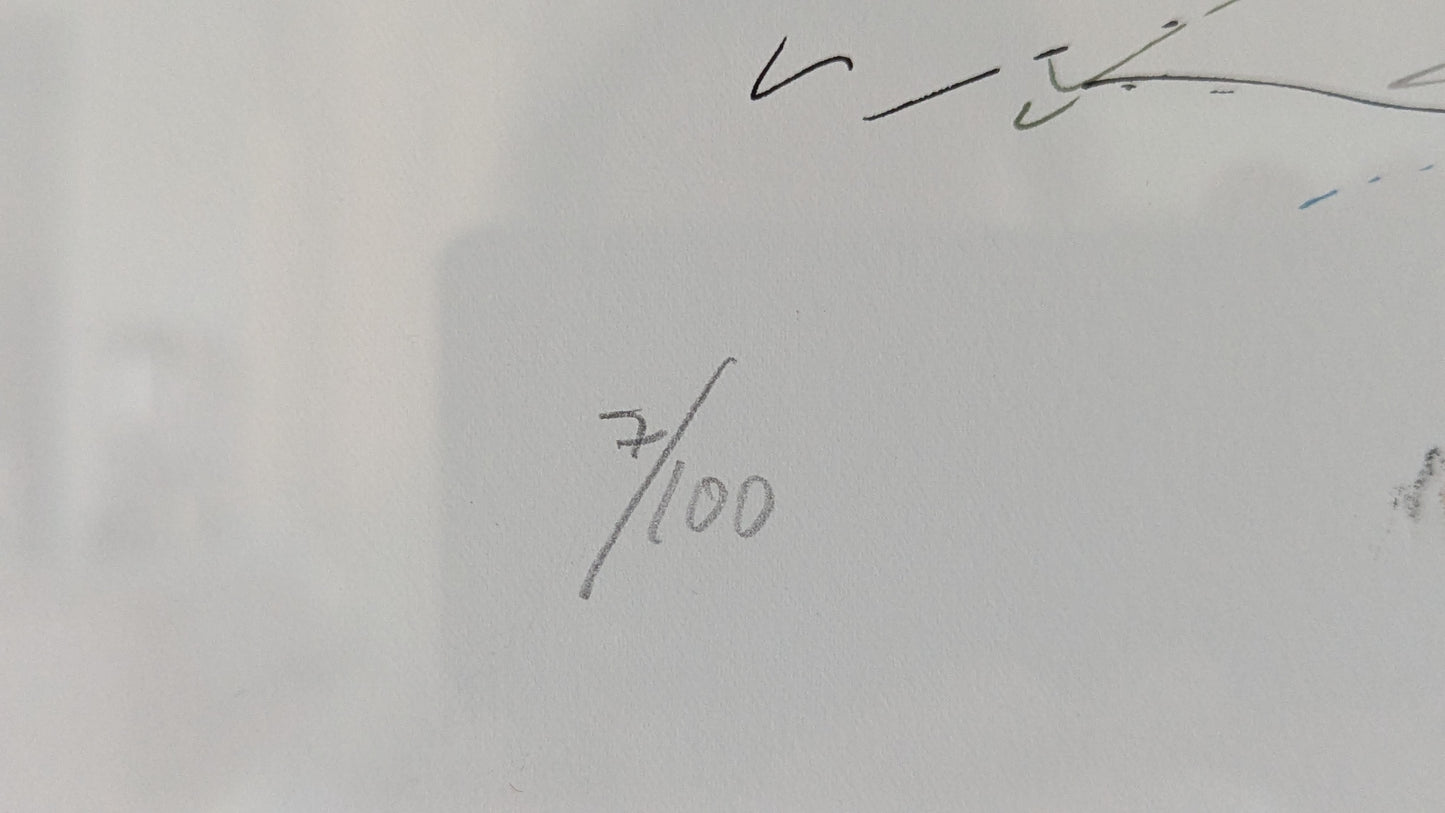 Raimo Kanerva - Signeerattu Grafiikka (1991)