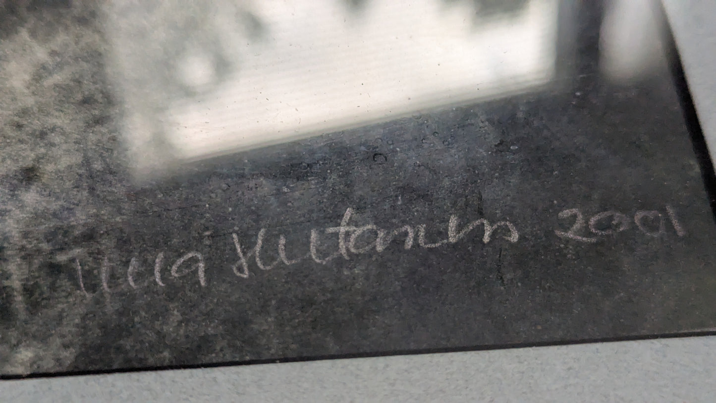 Ulla Hietanen - Viimeiset Heinäseipäät (Signeerattu ImageOn 2001)