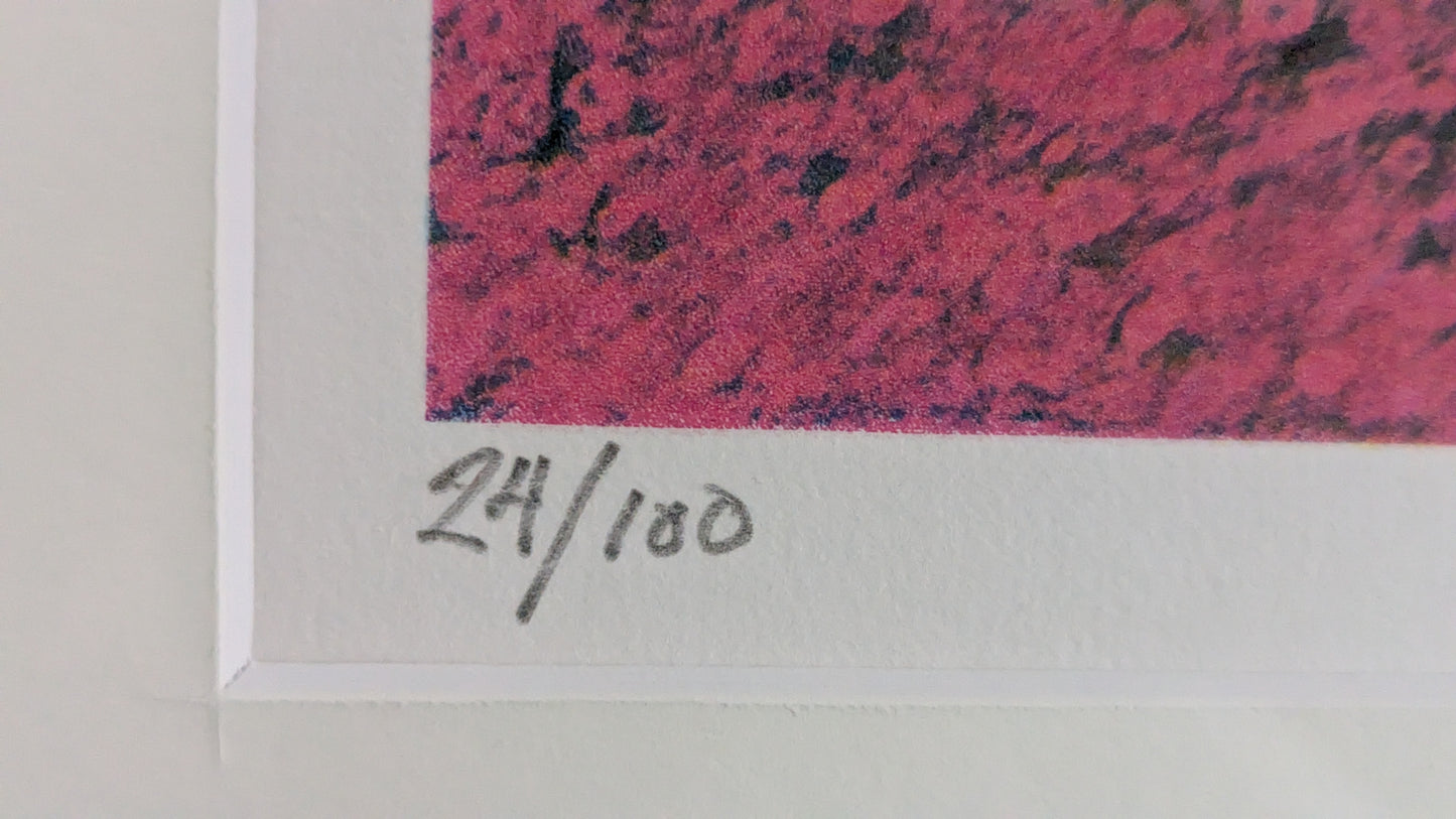Juha Soisalo - Signeerattu ja Numeroitu 24/100 Grafiikka (2008)