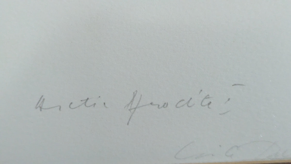 Laila Pullinen - Arctic Afrodite I (Signeerattu Litografia 1988)