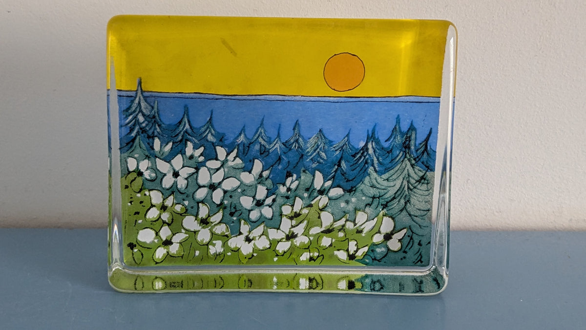 Iittala Lämpö Auringon Lasikortti (Isompi, Heljä Liukko-Sundström, Alk. Paketissa)