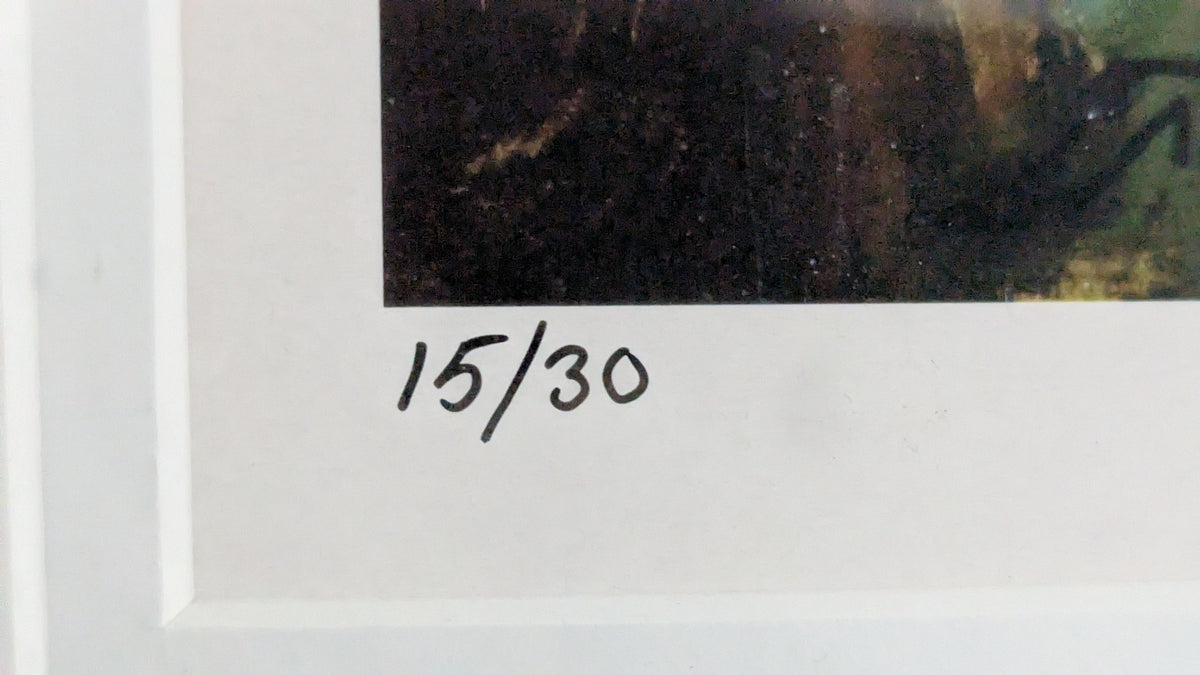 Olli J. Karhu - Signeerattu Grafiikka (Numeroitu 15/30)