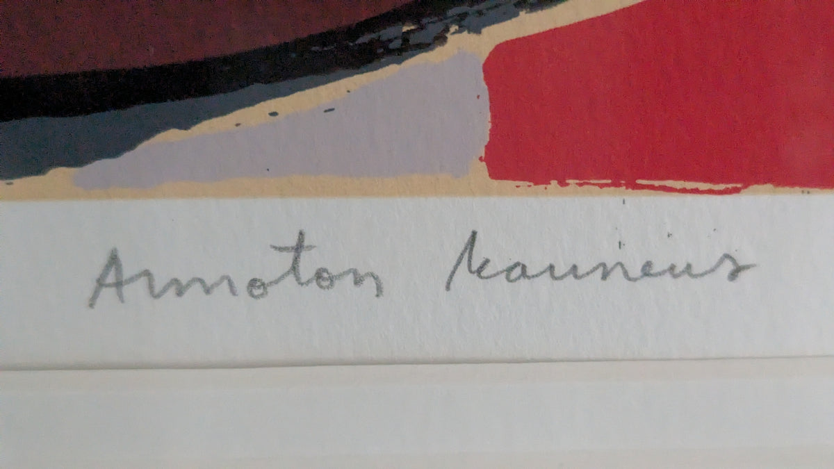 Sami Rinne - Armoton Kauneus (ISO Signeerattu Litografia 1998)