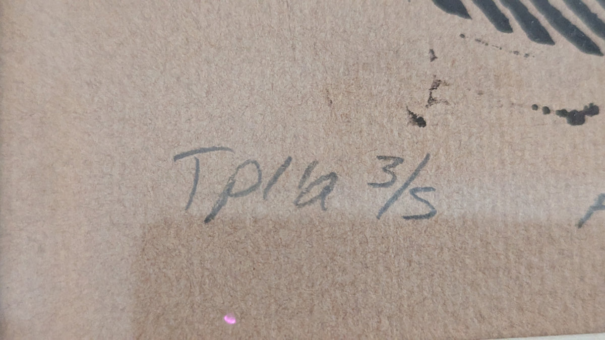 Fanni Favén - Actus (Signeerattu Grafiikka 1993)
