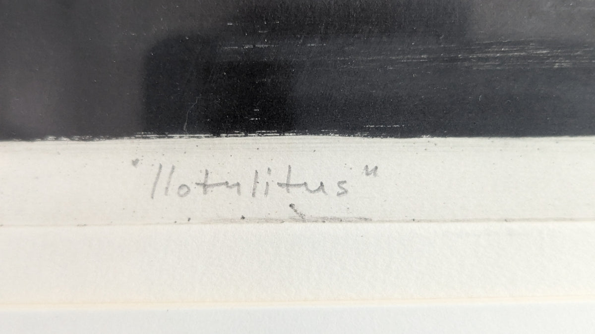 Veikko Stålhammar - Ilotulitus (Signeerattu Puupiirros 1980)