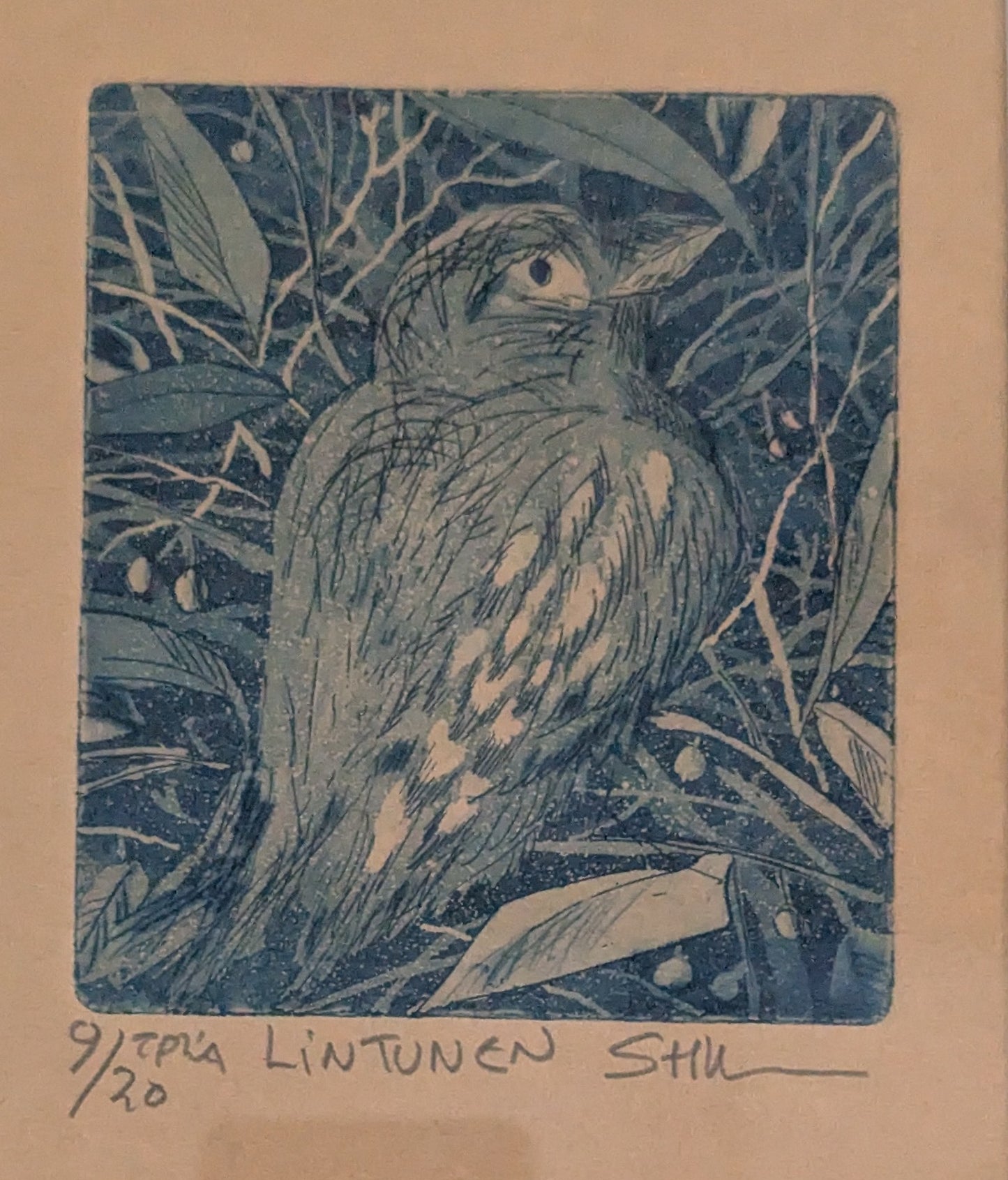 Sirpa-Helena Viljanen - Lintunen (Signeerattu Grafiikka)